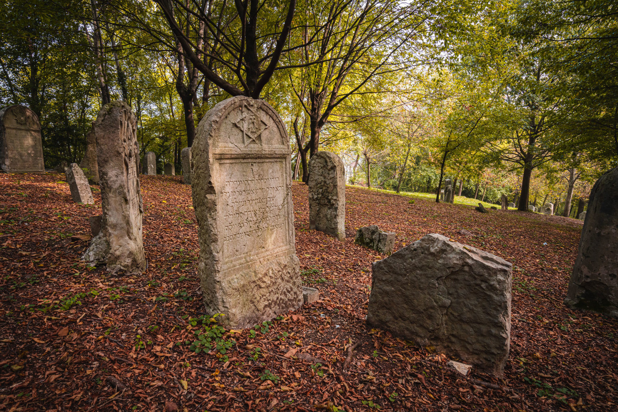 Jewish Memory Visit Conegliano